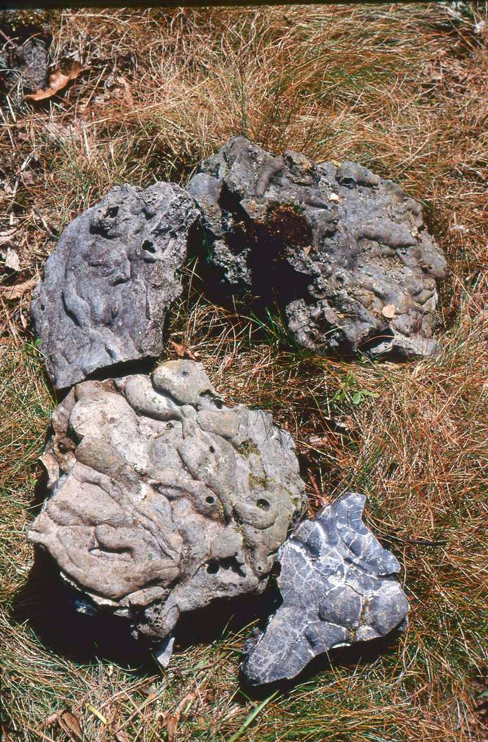 Slag at Froggatt Smelter June 1989, submitted by Dickie Bird on 20-03-2026.
© Richard Bird Slag at Froggatt Smelter June 1989